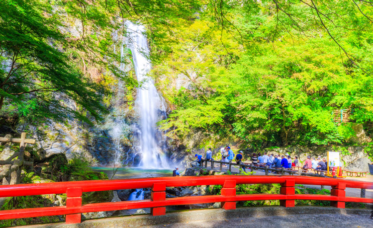● 紅葉の名所　箕面大滝